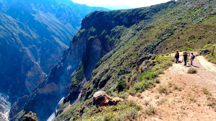 From Arequipa: Hiking Tour to Colca Canyon 2 days 1 night
