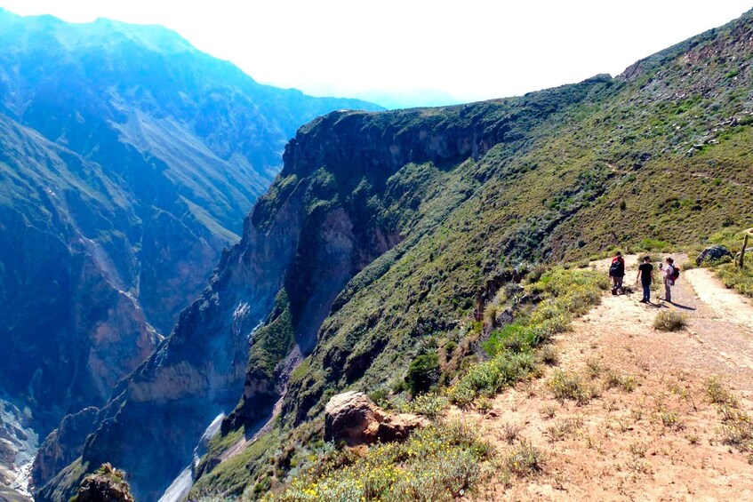 From Arequipa: Hiking Tour to Colca Canyon 2 days 1 night
