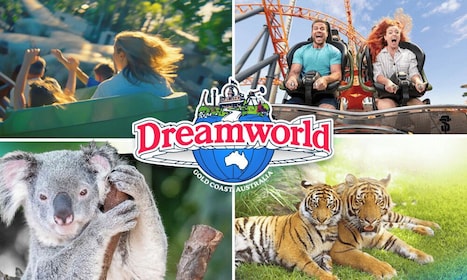 1 Day Dreamworld Ticket