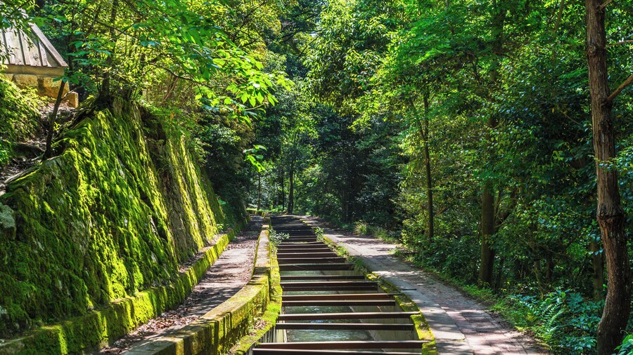 Kyoto: Sagano Train, Samurai Experience, Shimogamo Shrine