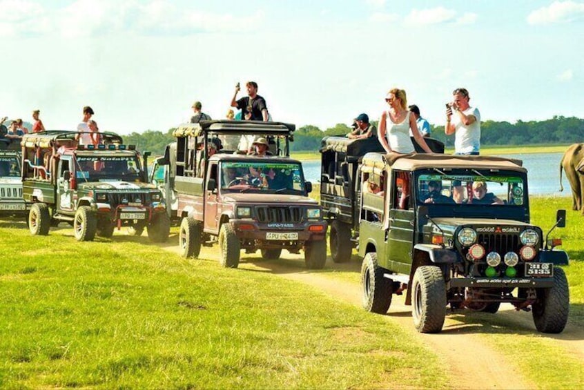 Minneriya National Park Private Jeep Safari