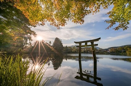 Giappone: Tour di Fukuoka di un giorno