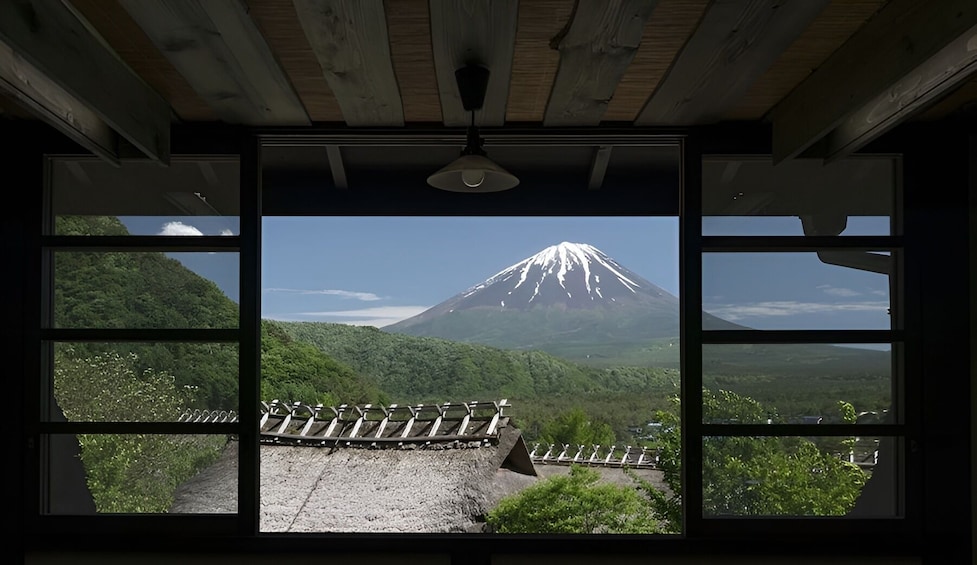 Japan: One-Day Tour of Mount Fuji