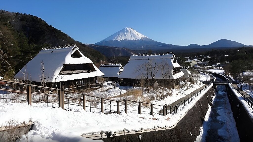 Japan: One-Day Tour of Mount Fuji
