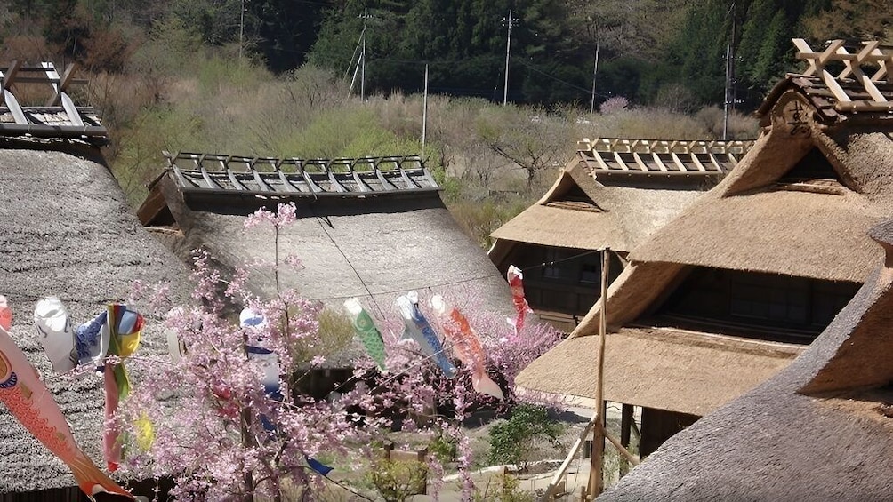 Japan: One-Day Tour of Mount Fuji