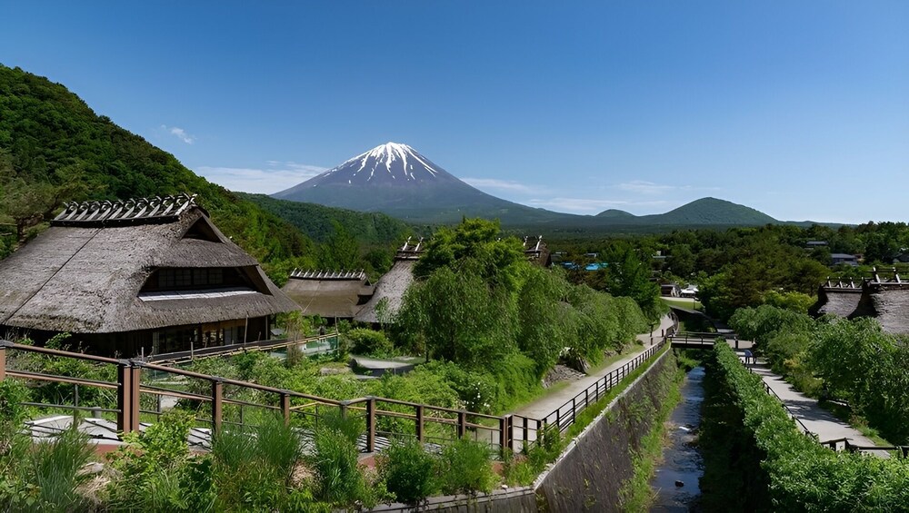 Japan: One-Day Tour of Mount Fuji