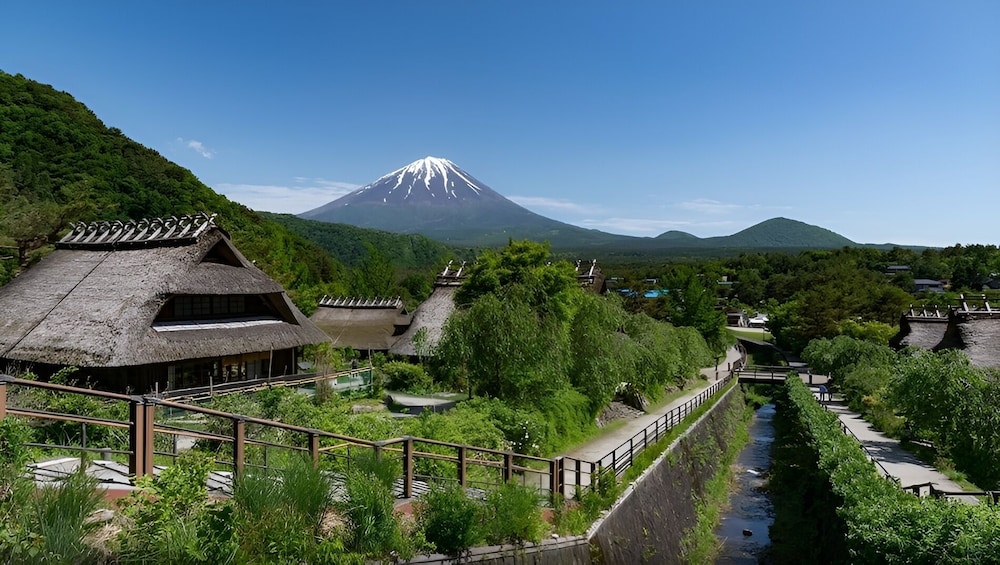 Japan: One-Day Tour of Mount Fuji