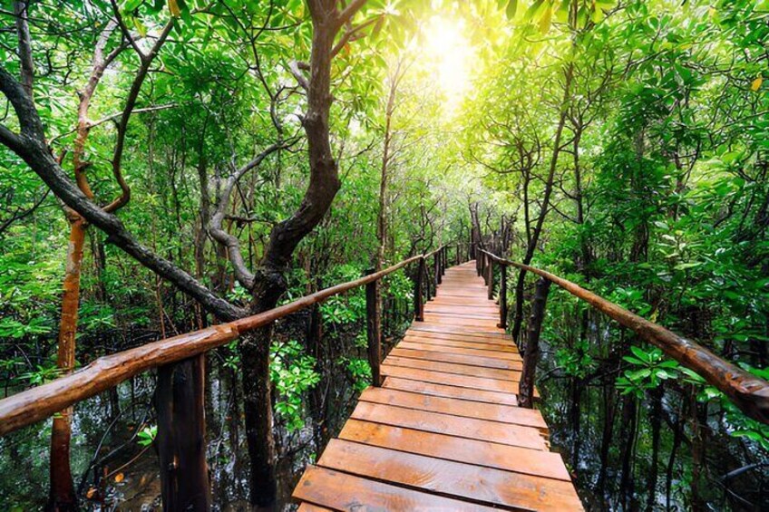 Jozani Forest & Stone Town Day Tour with Transfers – Zanzibar