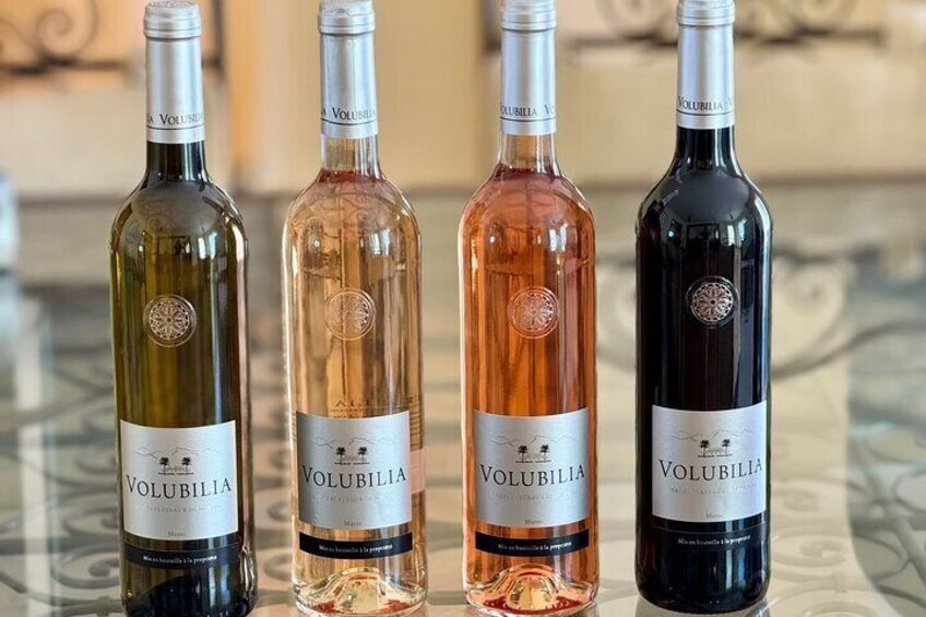 Full Day Boutique Winery and Wine Tasting Tour from Fez to Meknes