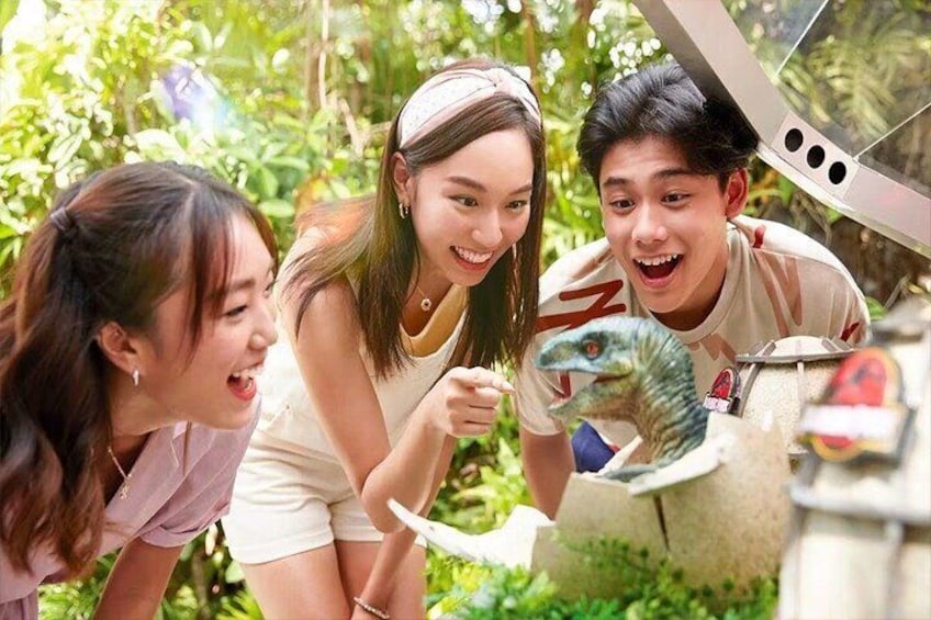 Universal Studios Singapore Tickets with Options