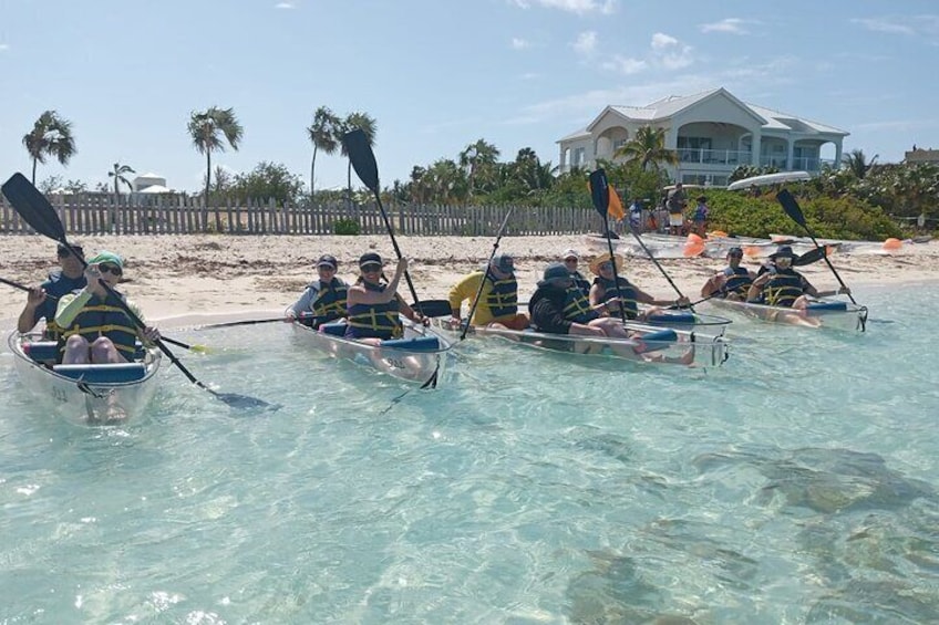 Clear Bottom Kayaks Mangrove Tour