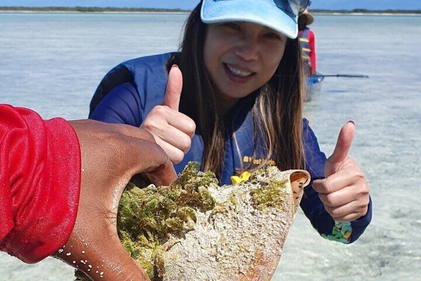 Clear Bottom Kayaks Mangrove Tour