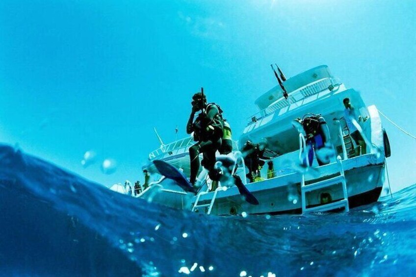 Coral Garden Diving Adventure with 2 Dives & Transfer –Marsa Alam