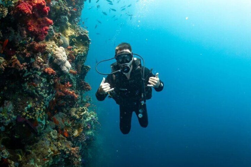 Coral Garden Diving Adventure with 2 Dives & Transfer –Marsa Alam