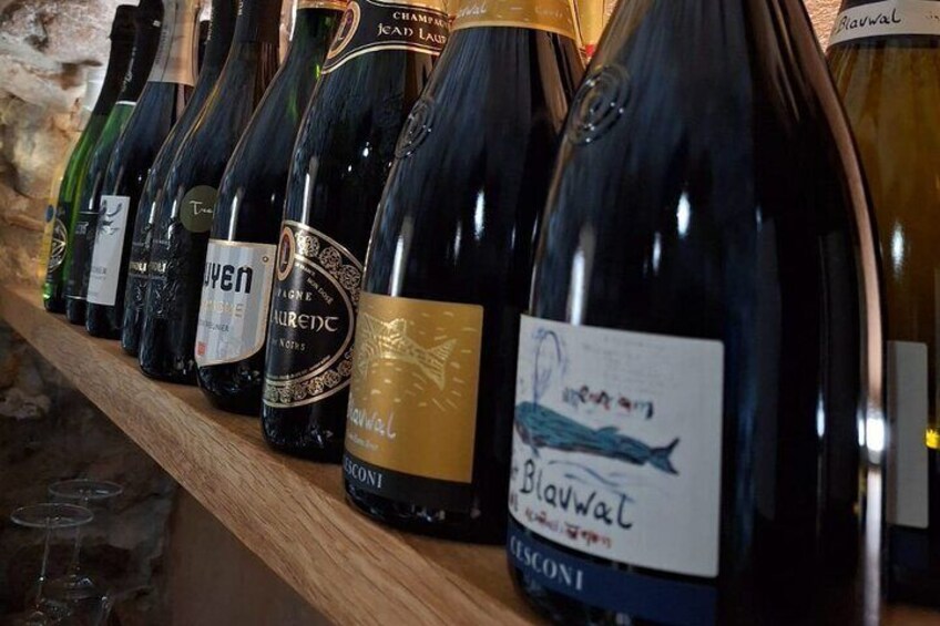 Wine tasting with italian Aperitivo