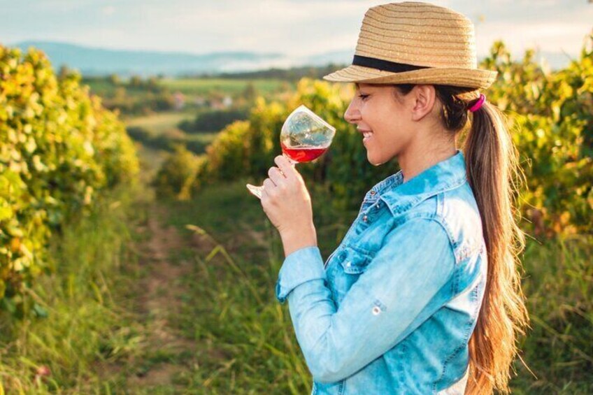 Experience Tasting Seferihisar and Urla Wines