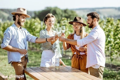 Experience Tasting Seferihisar and Urla Wines