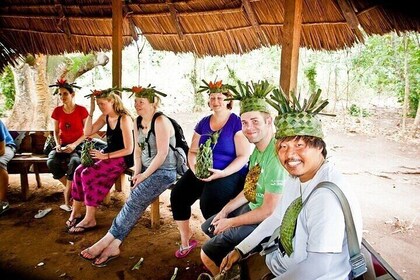 Jozani Forest & Spice Farm Day Tour with Transportation –Zanzibar
