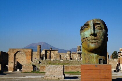 Pompeii Excavations Excursion from Naples