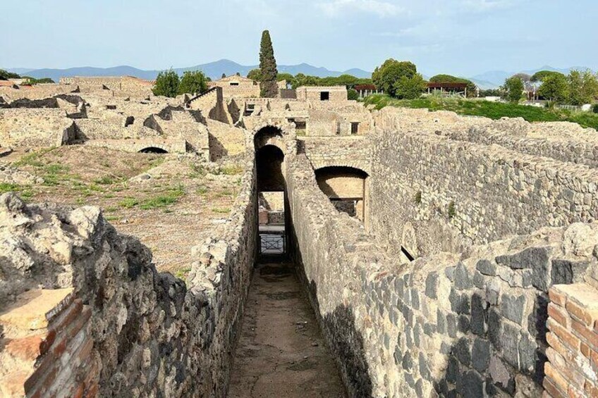 Pompeii Excavations Excursion from Naples