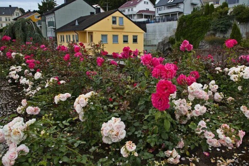 Scenic Private Tour of Atlantic Road and Coastal Villages