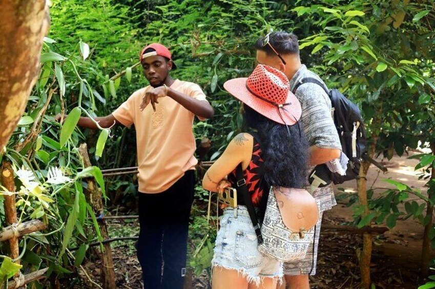Spice Farm & Stone Town Secrets of the Island & Lunch - Zanzibar