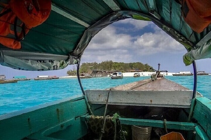 Spice Farm & Prison Island with Lunch with Transfers – Zanzibar