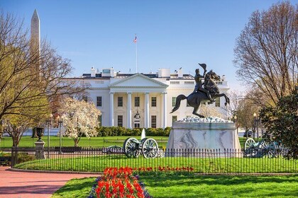 Lo más destacado de Washington DC: Tour privado de medio día