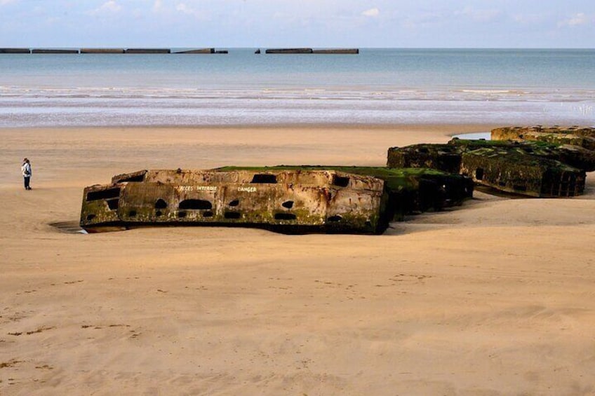 Private Normandy DDay trip to Top 5 Sights from Paris by Minivan with