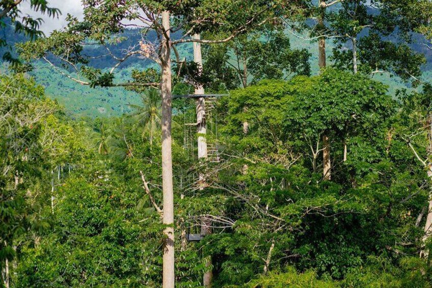 Koh Samui Jungle Zipline Adventure (16 Platforms)