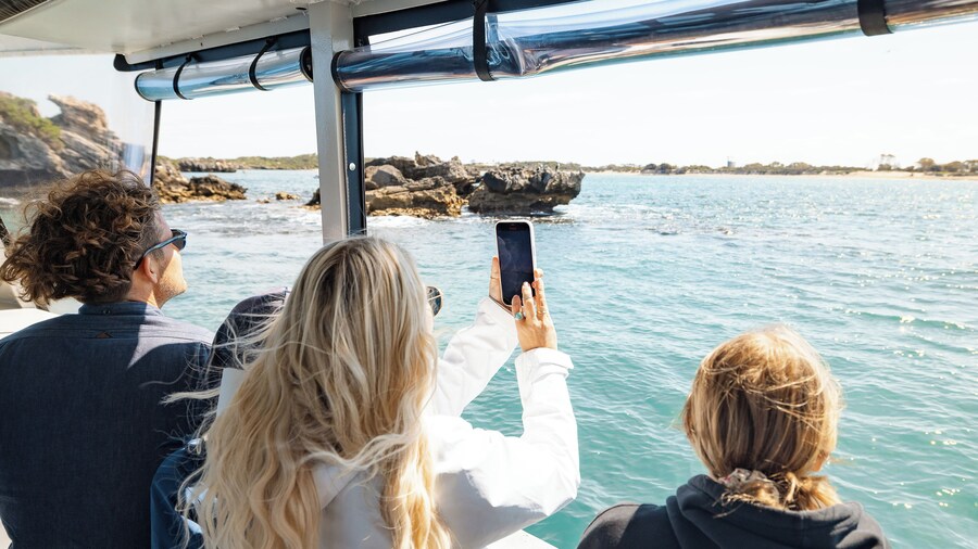 Wildlife Cruise & Lunch