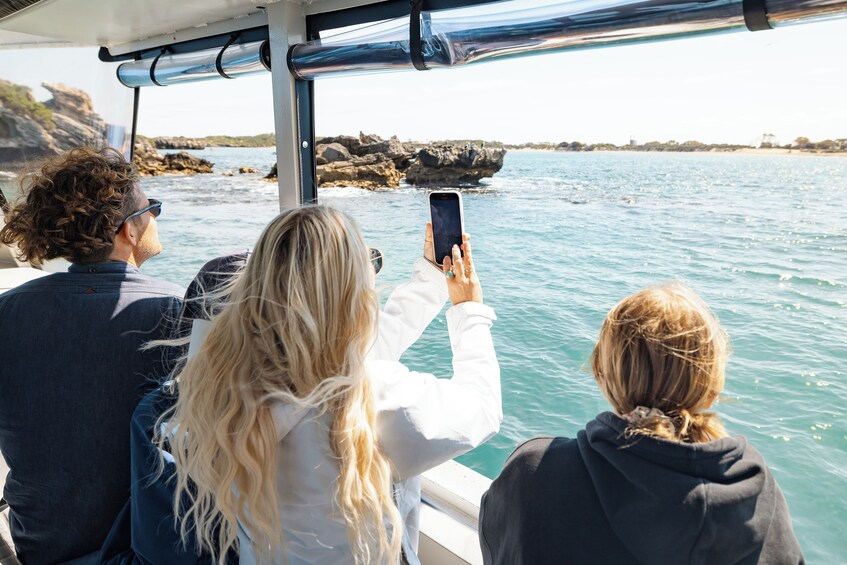 Wildlife Cruise & Lunch