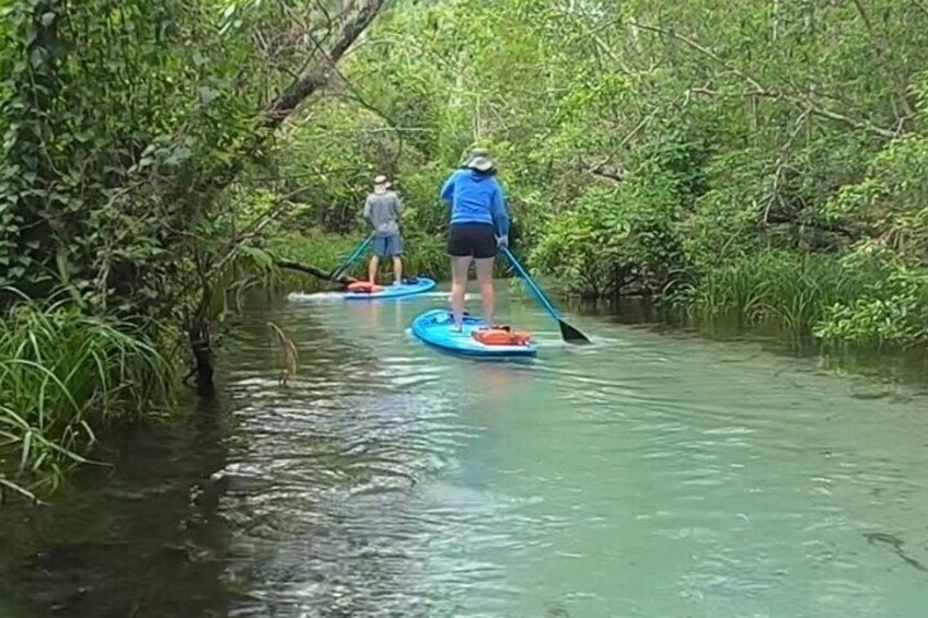 Rainbow River Snorkel Eco Cruise