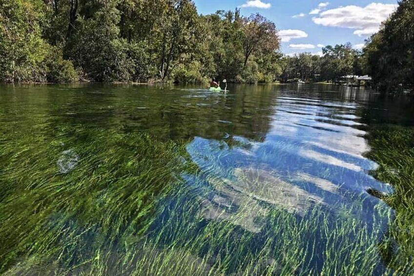Rainbow River Snorkel Eco Cruise