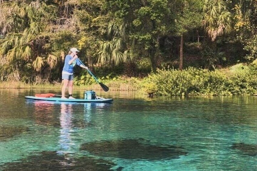 Rainbow River Snorkel Eco Cruise