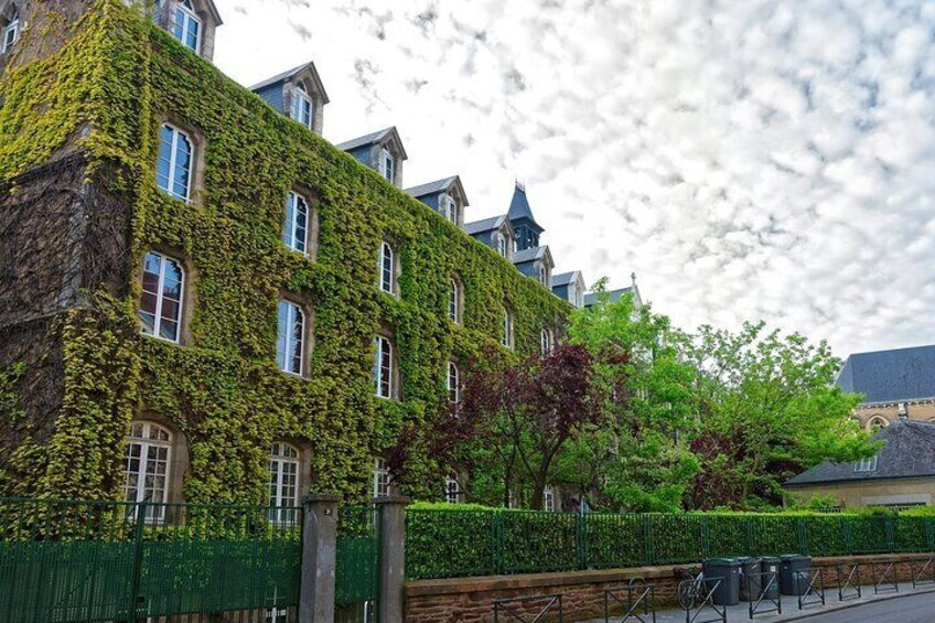 Best Intro to Rennes in 2 hours with a Local