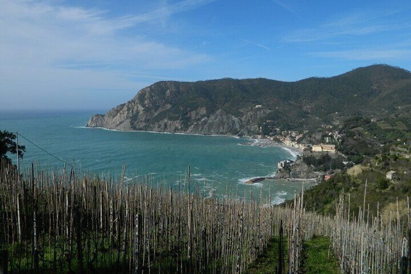 From Monterosso to Vernazza Trekking in the heart of Cinque Terre