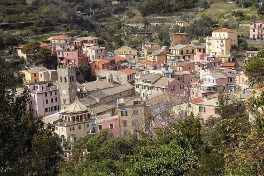 From Monterosso to Vernazza Trekking in the heart of Cinque Terre