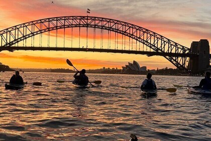 Sunset Harbour Bridge Kayak Escape