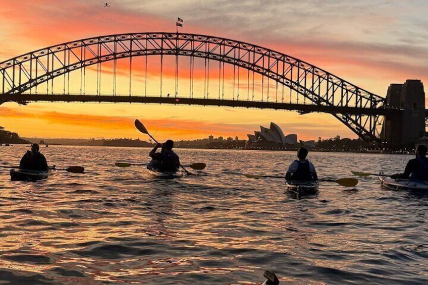 Sunset Harbour Bridge Kayak Escape