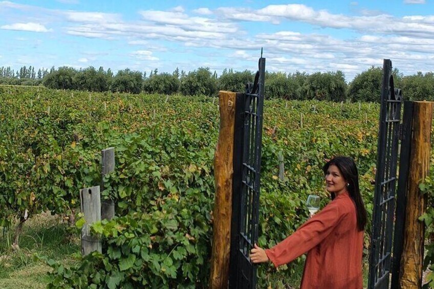 Mendoza Winery Tour with Olive Trees in Private Service