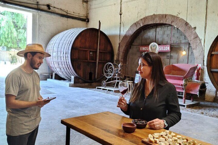 Mendoza Winery Tour with Olive Trees in Private Service