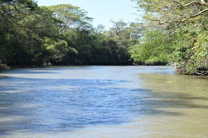 Palo Verde Boat Safari Wildlife Sugarcane and Local Crafts