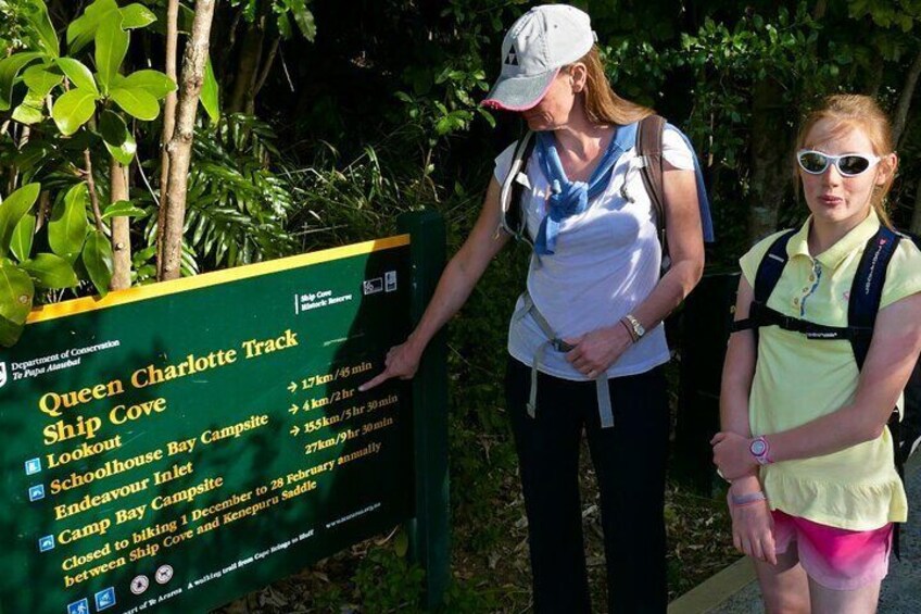 BEST Lookout on Queen Charlotte Track - 75 min