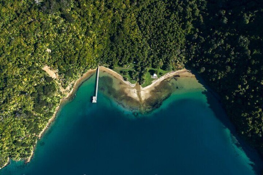 Amazing Ships Cove Queen Charlotte Track Start 