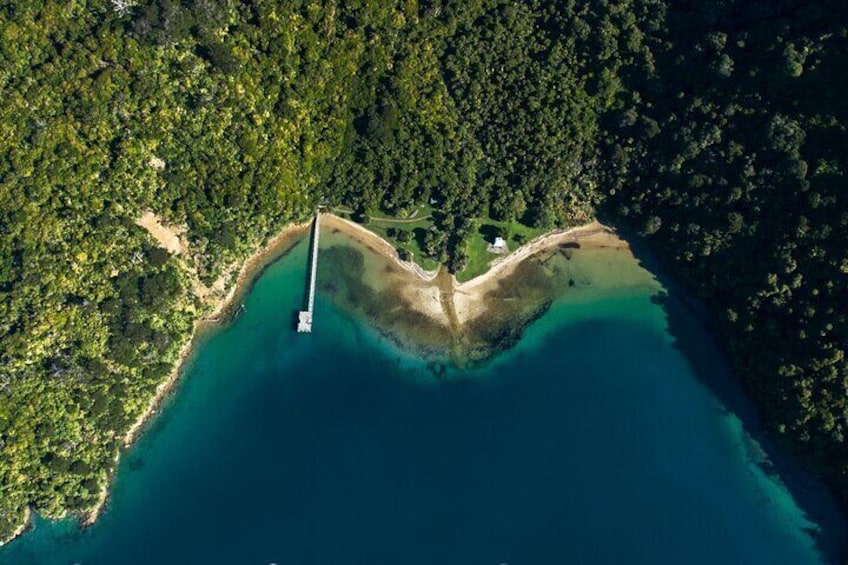 Amazing Ships Cove Queen Charlotte Track Start