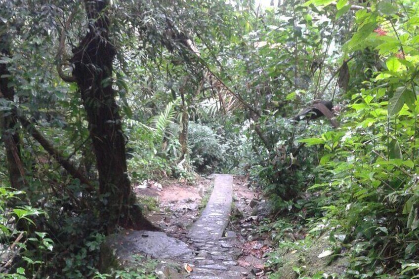 Private Tour El Yunque Rainforest waterfall