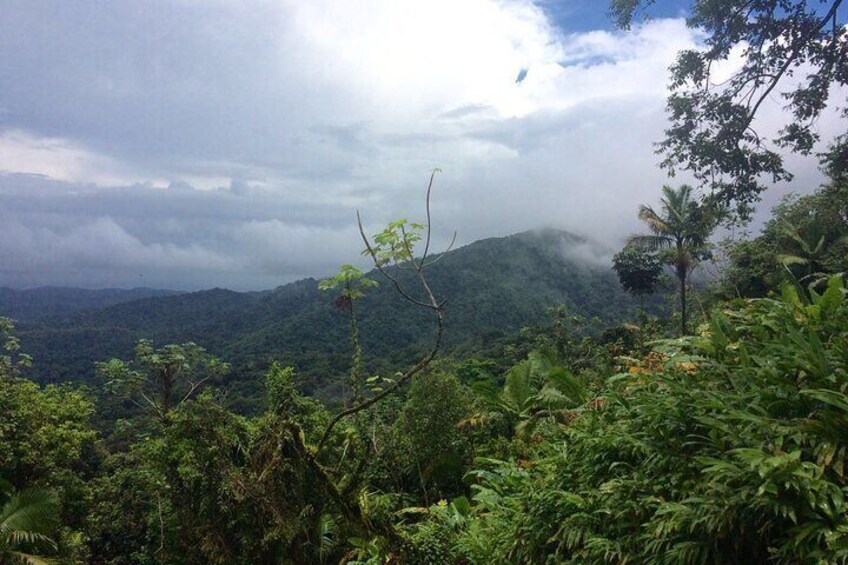 El Yunque Rainforest clouds