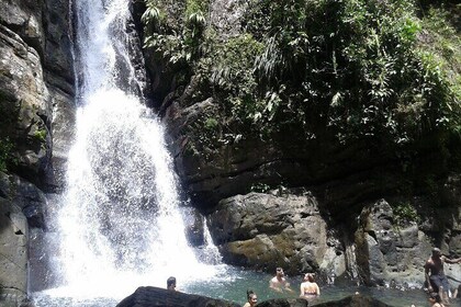 Private Tour El Yunque Rainforest waterfall
