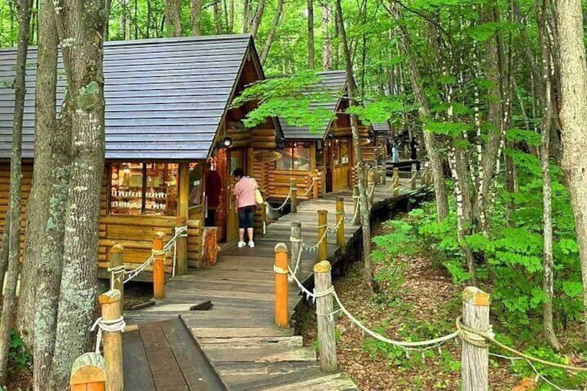 Hokkaido Classic Day Tour & Furano Flower Viewing Day Tour|Asahiyama Zoo & Biei Red Mangroves & Forest Fairy Terrace & Farm Tomita